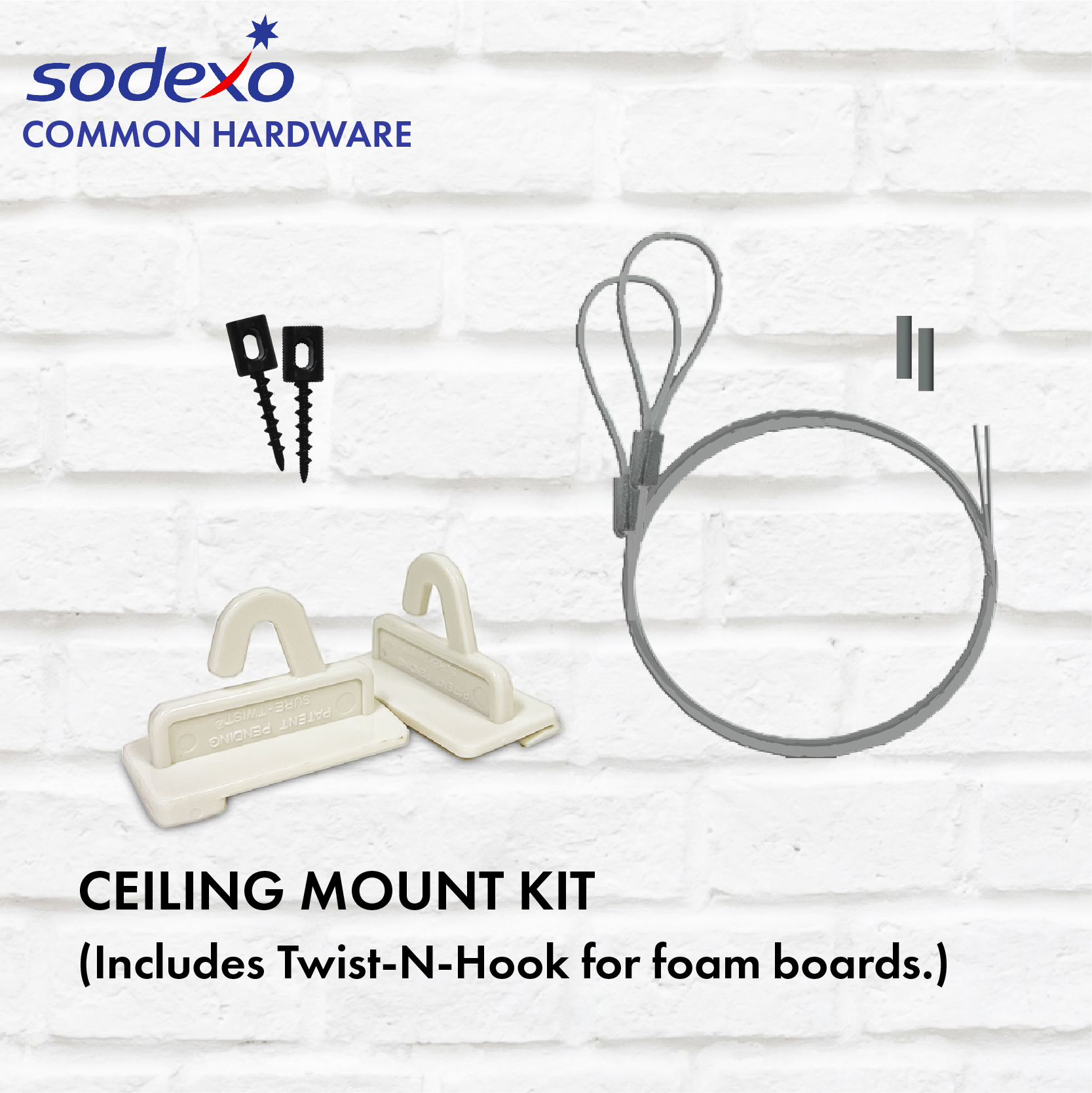 Ceiling Mount Kit (à la carte)